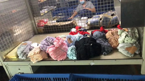 走訪中山市寶路易服飾 品質與創新的時尚領航者